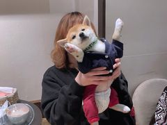 -逗柴咖啡屋·狗咖猫咖宠物桌游