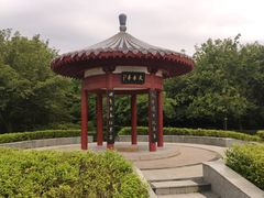 -洛阳市隋唐城遗址植物园