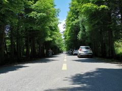 -山王坪喀斯特国家生态公园