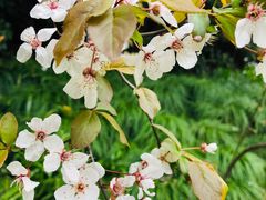 -上海市龙华烈士陵园