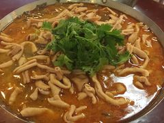 -余杨鸭鸭餐厅