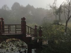 -铁山坪森林公园