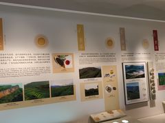 -中国茶叶博物馆(双峰馆区)