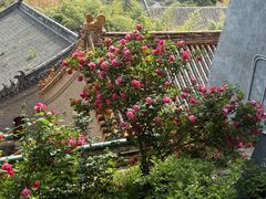 -潭柘寺景区