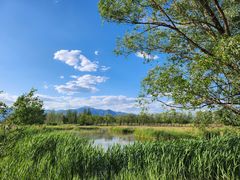 -野鸭湖国家湿地公园