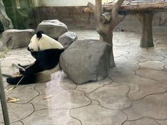 -宁波野生动物园