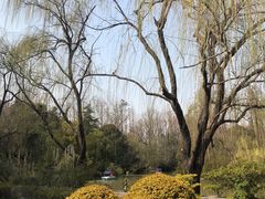 -上海滨江森林公园