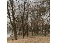 -钓鱼台国宾馆