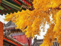 -承恩寺