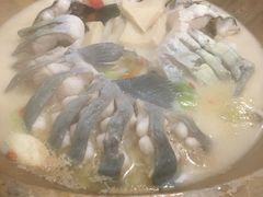 江团鱼-云中鱼蒸汽石锅鱼(川沙百联店)