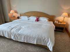 -南京维景国际大酒店(南京博物院店)