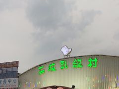 -石岐乳鸽村(桥观坊南四巷店)