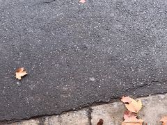 -唐晋人家(源深路店)