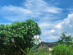 -云水谣景区