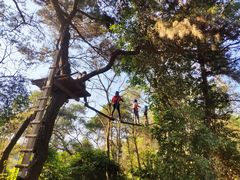 -芦仙山景区-飞越丛林探险乐园