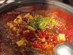 -探鱼·鲜青椒爽麻烤鱼(广州花都来又来店)