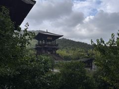 -大唐贡茶院