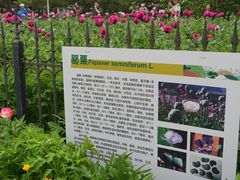 -国家植物园南园