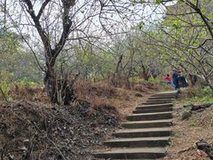 -广州市流溪河国家森林公园