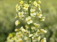 -中国天府农业博览园