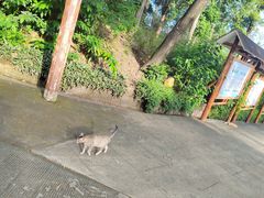 -广州莲花山旅游区