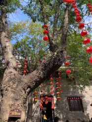 点击看大图 -梵隐SPA