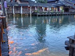-乌镇西栅景区