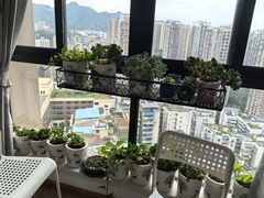-叶老师古筝工作室(杨公桥店)