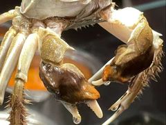 -韩大地烤肉海鲜火锅自助(五一广场店)