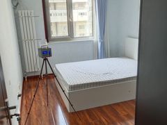 -Liteclear日本进口强效除甲醛检测治理(旗舰店)
