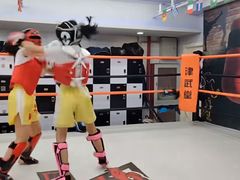 -津武堂散打搏击俱乐部(河西店)