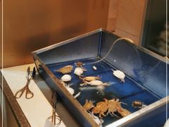 水产区-开元新晶都酒店·自助火锅