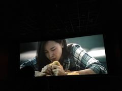 -神画光影影城(温岭万寿路店)