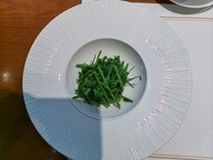 -觀芷隐轩