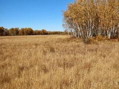 -塞罕坝国家级自然保护区