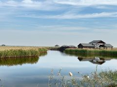 -南大港湿地风景区