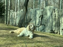 -北京野生动物园