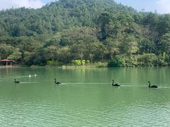 -广州白江湖森林公园