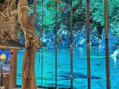 -桂满陇·海市蜃楼·黑金(国金店)
