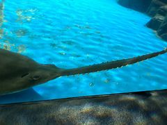 -上海海洋水族馆