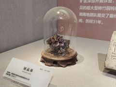 -湖南省地质博物馆