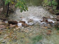 -玉渡山自然风景区