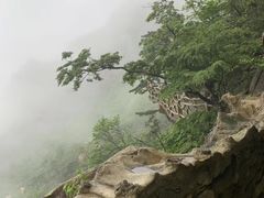 -罗田天堂寨风景区