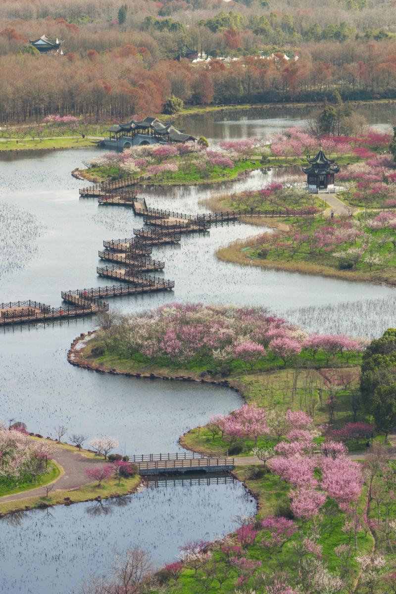 上海海湾园图片