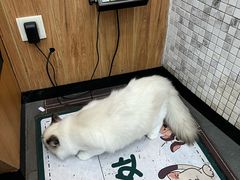 -联合动物医院(光谷诊疗中心)