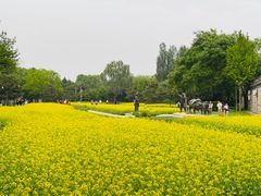 -北坞公园