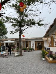 -DORA kids 朵拉儿童摄影花园店