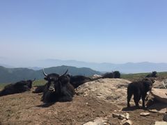 -北京灵山风景区