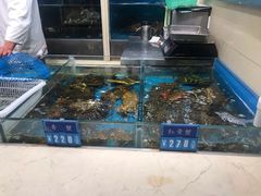 -金时代顺风大酒店(协泰店)