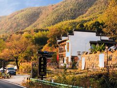 -塔川景区